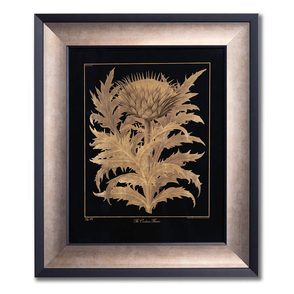 Botanical Cardoon