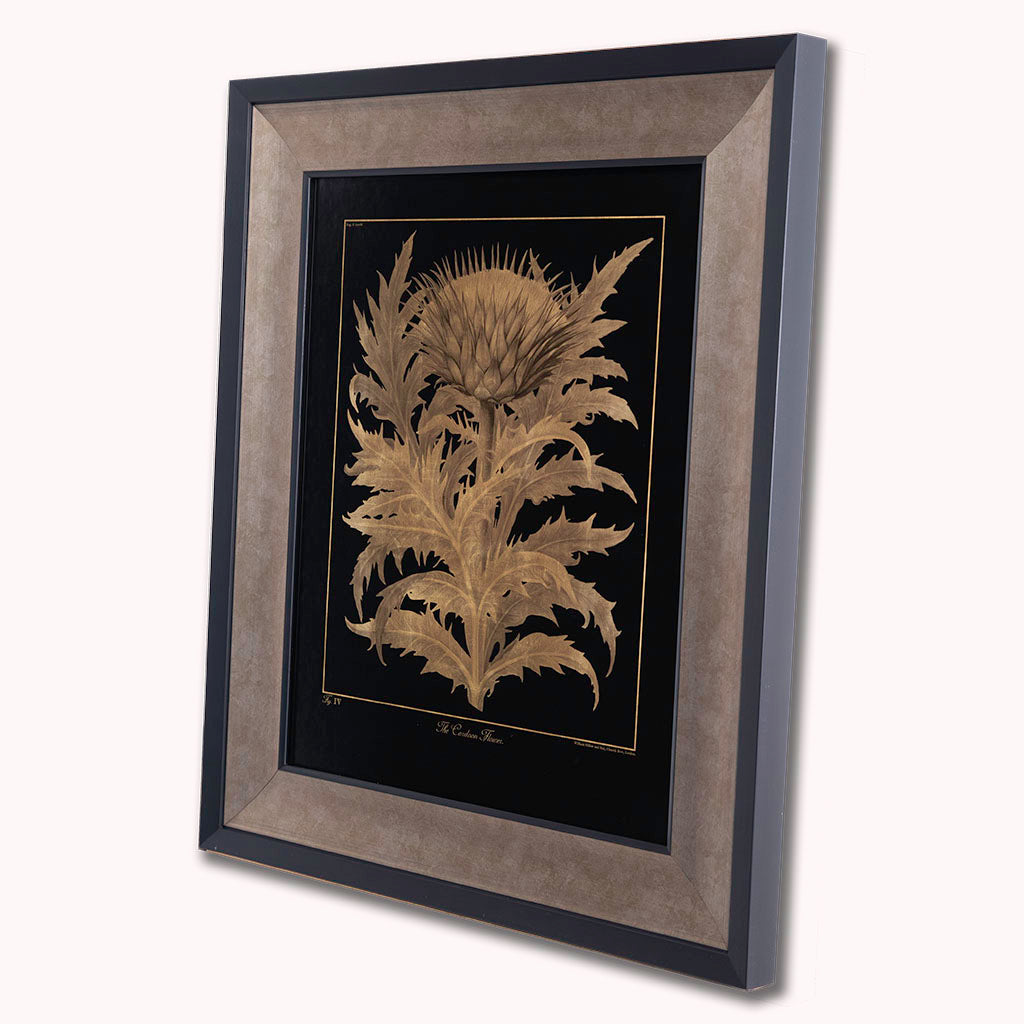 Botanical Cardoon