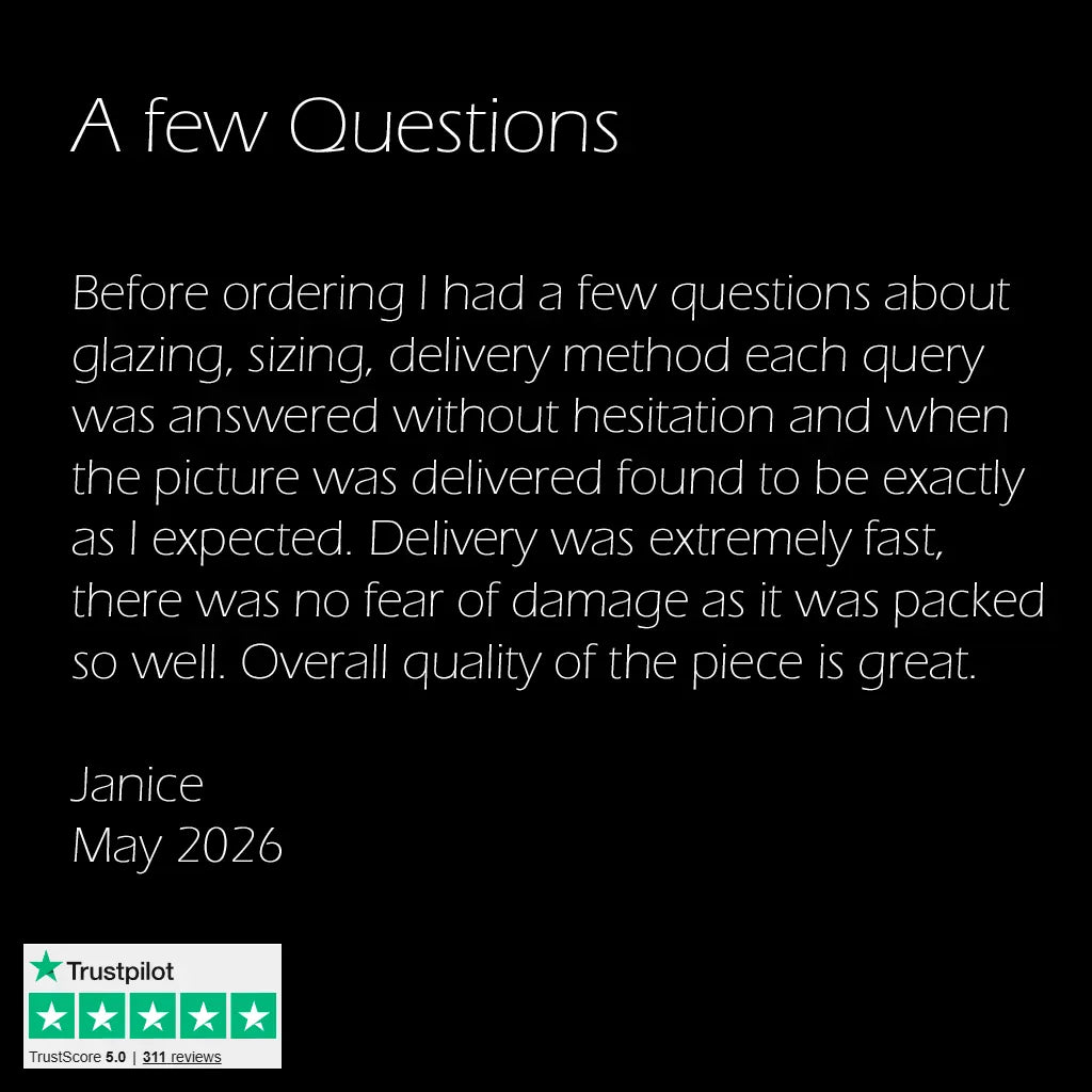 5 star trust pilot review for modern luxury framed artwork