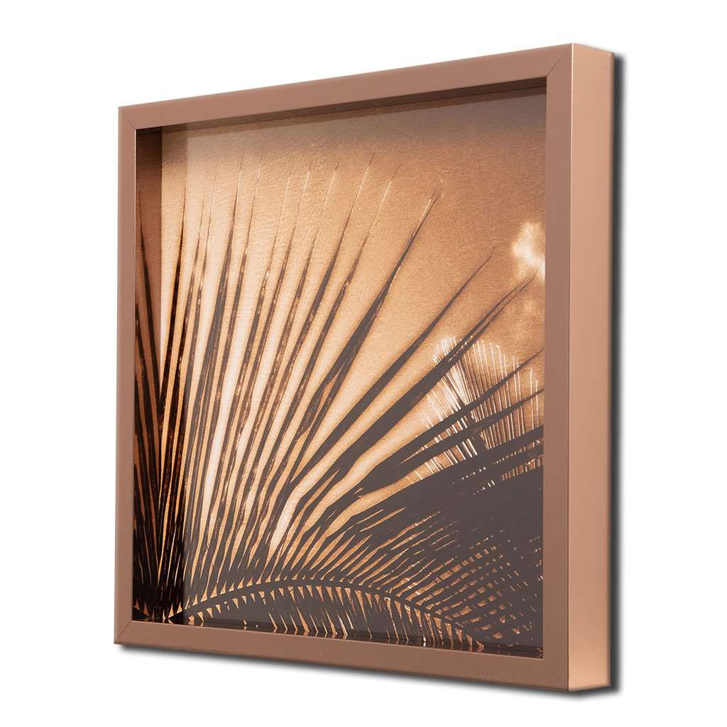 Palm Tree study set of 4