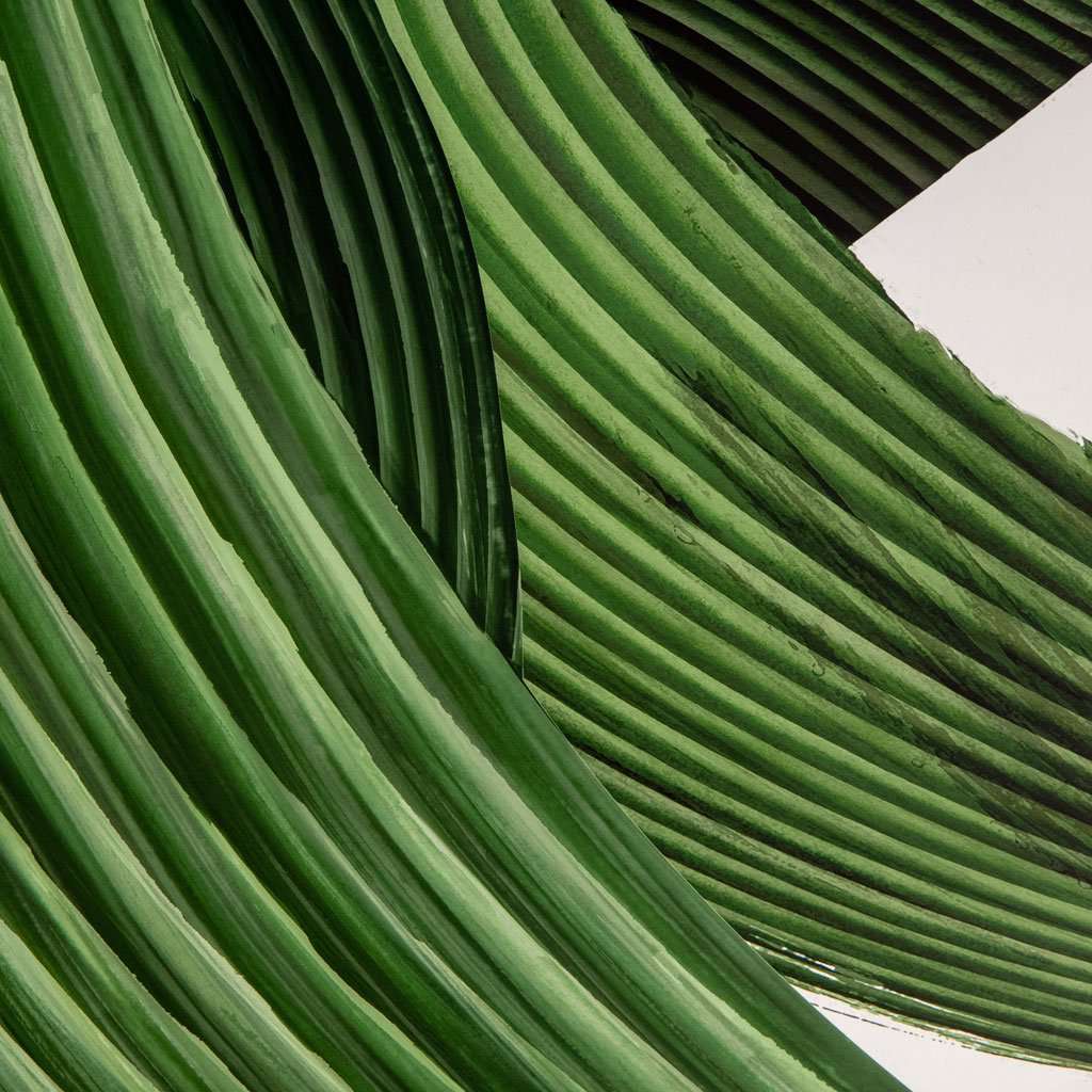 Fluttering Foliage