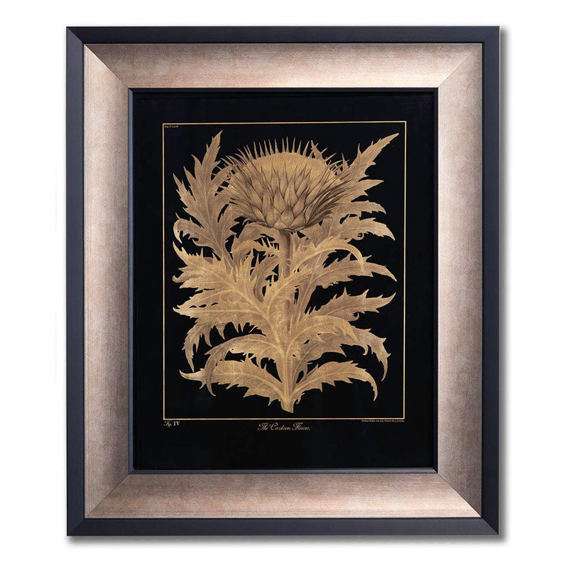Botanical Cardoon