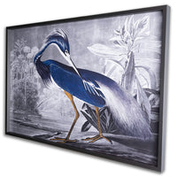 Luxurious Heron, John James Audubon