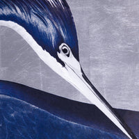 Luxurious Heron, John James Audubon