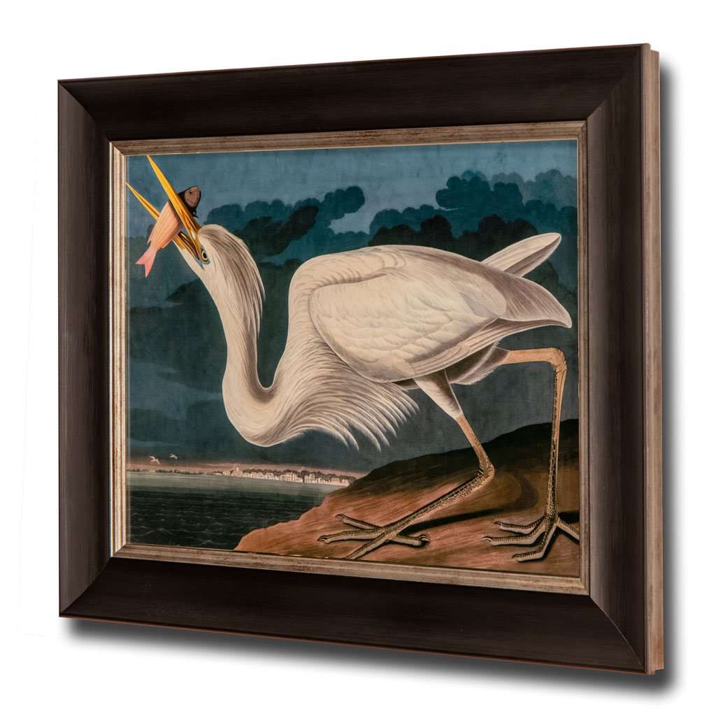 Great White Heron, John James Audubon