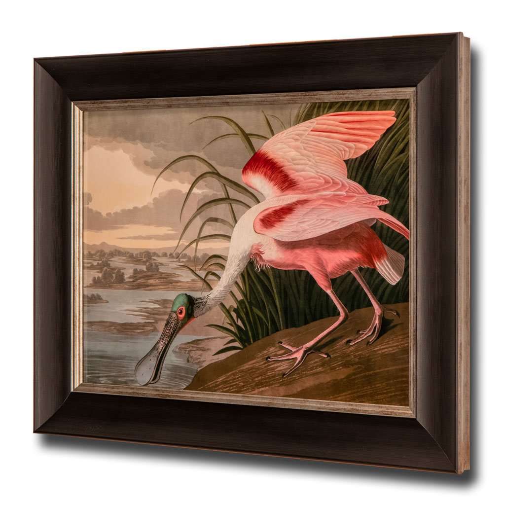 Roseate Spoonbill, John James Audubon