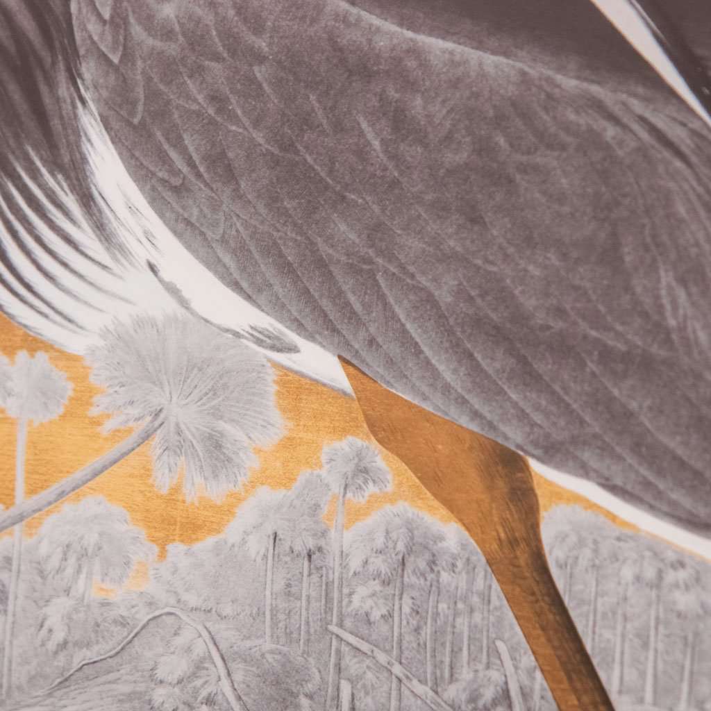 Louisiana Heron, John James Audubon, Deluxe edition